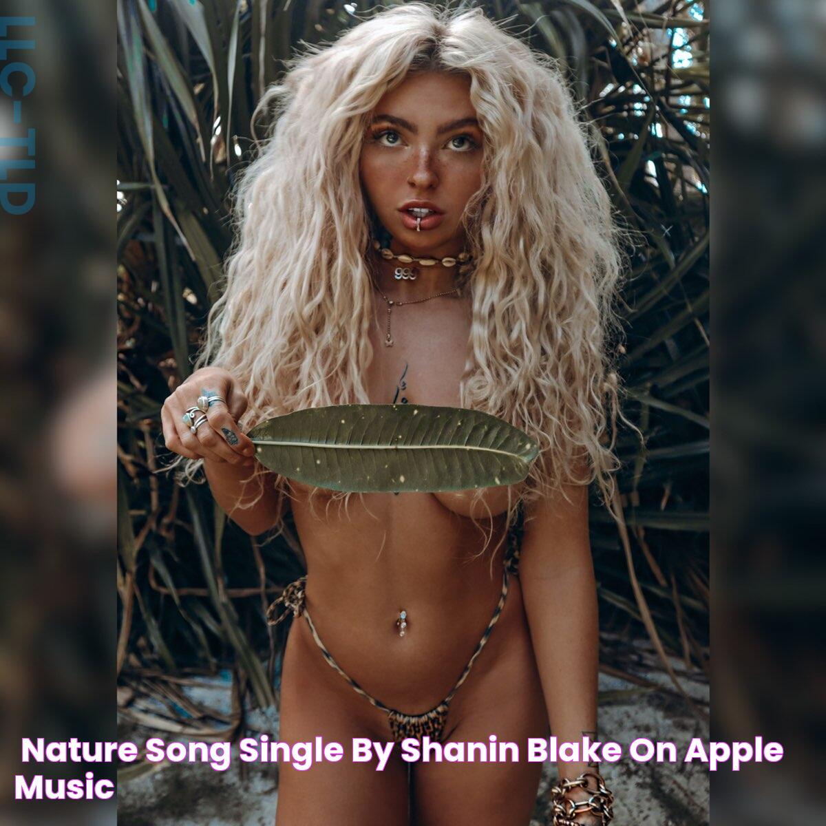 ‎Nature Song Single by Shanin Blake on Apple Music