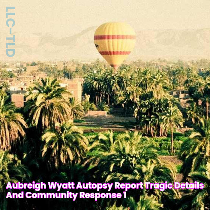 Aubreigh Wyatt Autopsy Report Tragic Details And Community Response