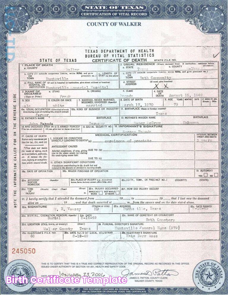 Birth Certificate Template