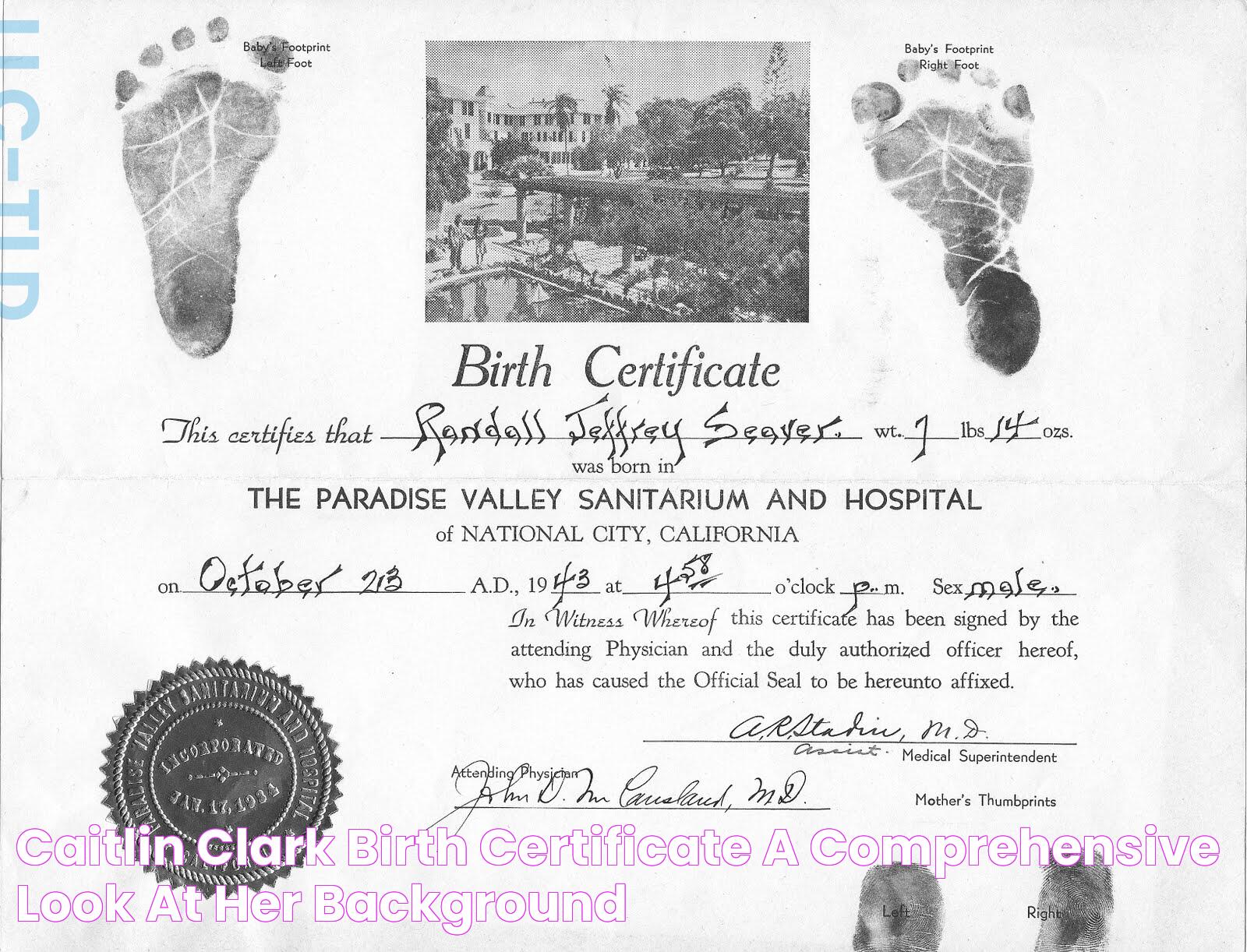 Caitlin Clark Birth Certificate A Comprehensive Look At Her Background