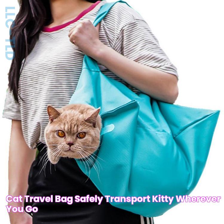 Cat Travel Bag Safely Transport Kitty Wherever You Go!