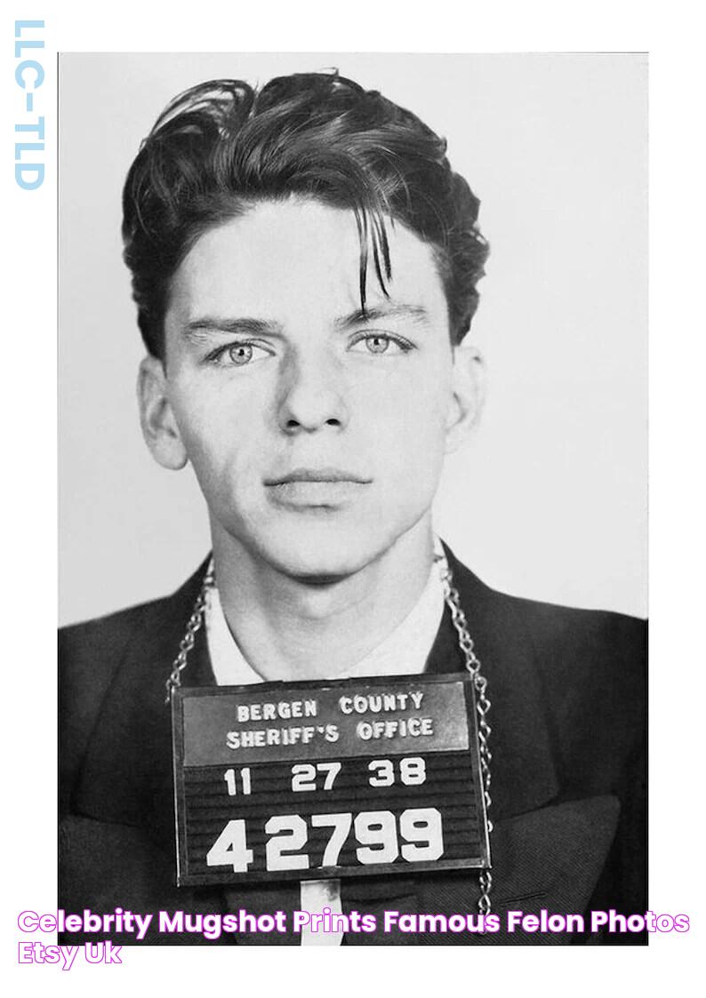 Celebrity Mugshot Prints Famous Felon Photos Etsy UK