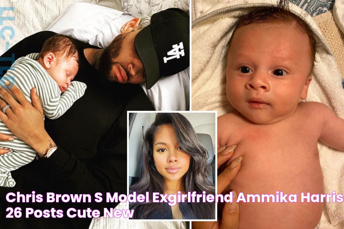 Chris Brown’s model exgirlfriend Ammika Harris, 26, posts cute new