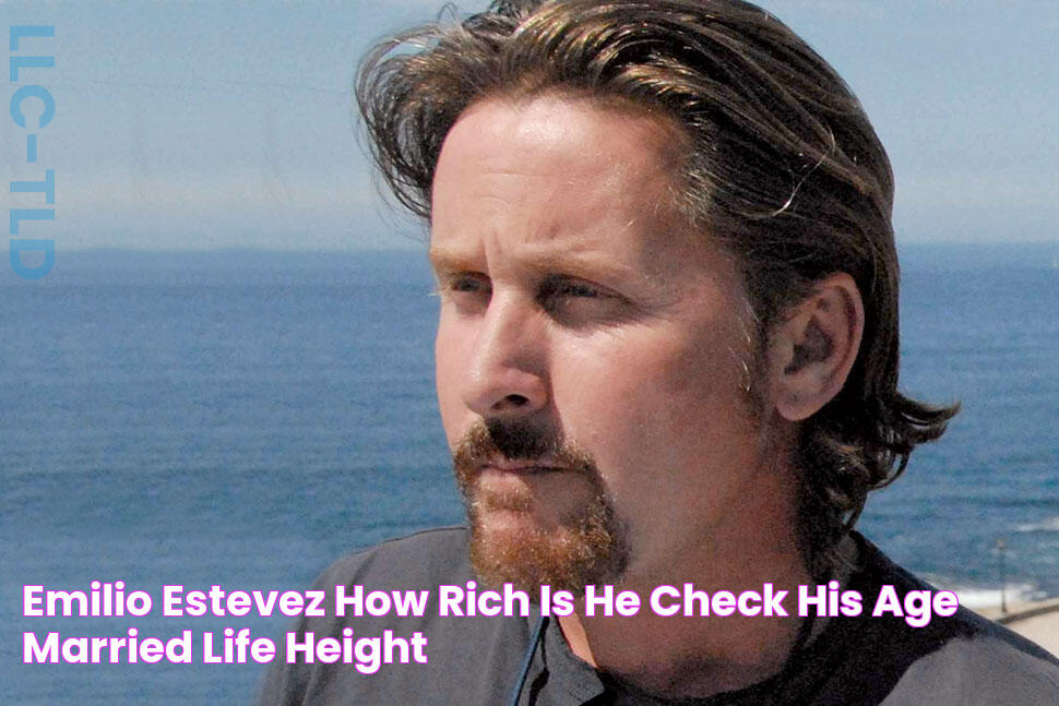 Emilio Estevez How Rich Is He? Check His Age, Married Life, Height