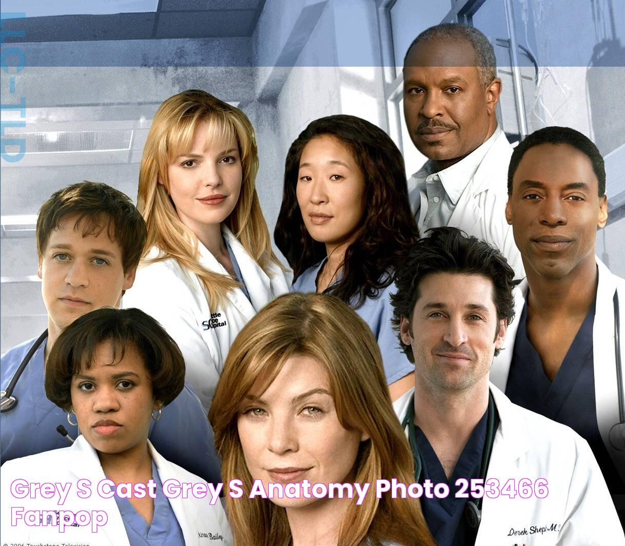 Grey's Cast Grey's Anatomy Photo (253466) Fanpop