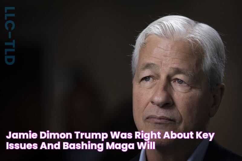 Jamie Dimon Trump was right about key issues and bashing MAGA will