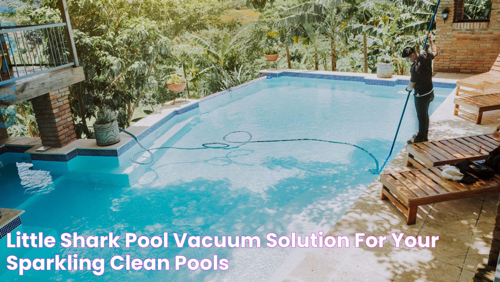 Little Shark Pool Vacuum Solution for Your Sparkling Clean Pools