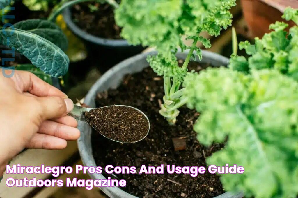 MiracleGro Pros, Cons, and Usage Guide Outdoors Magazine