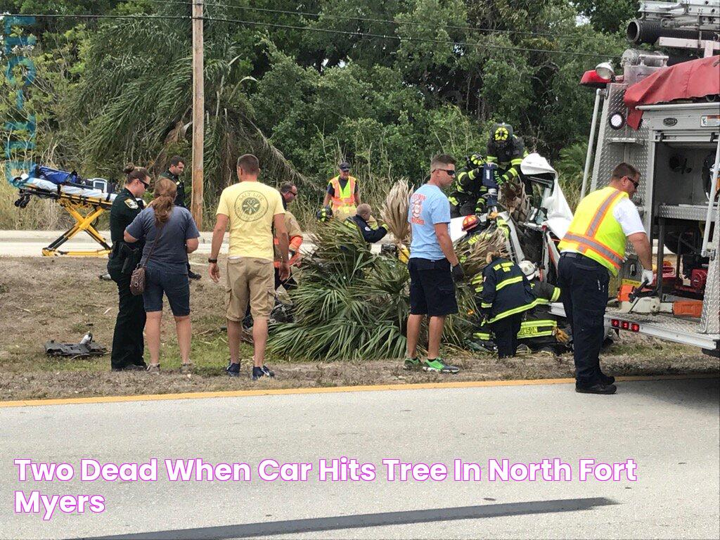 Two dead when car hits tree in North Fort Myers