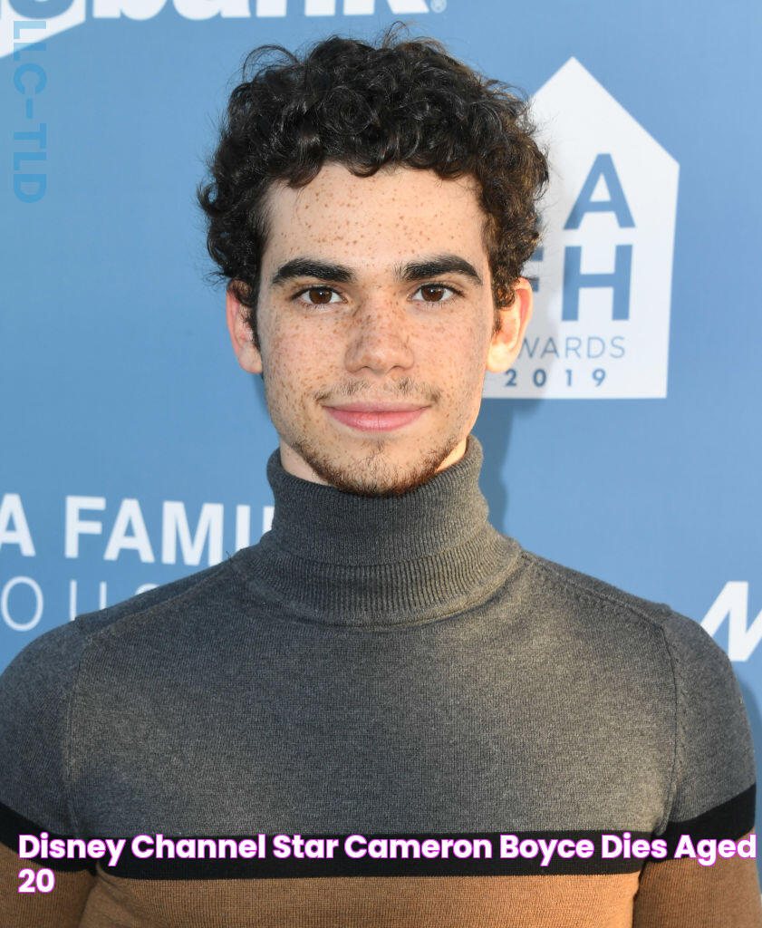 Disney Channel Star Cameron Boyce Dies Aged 20