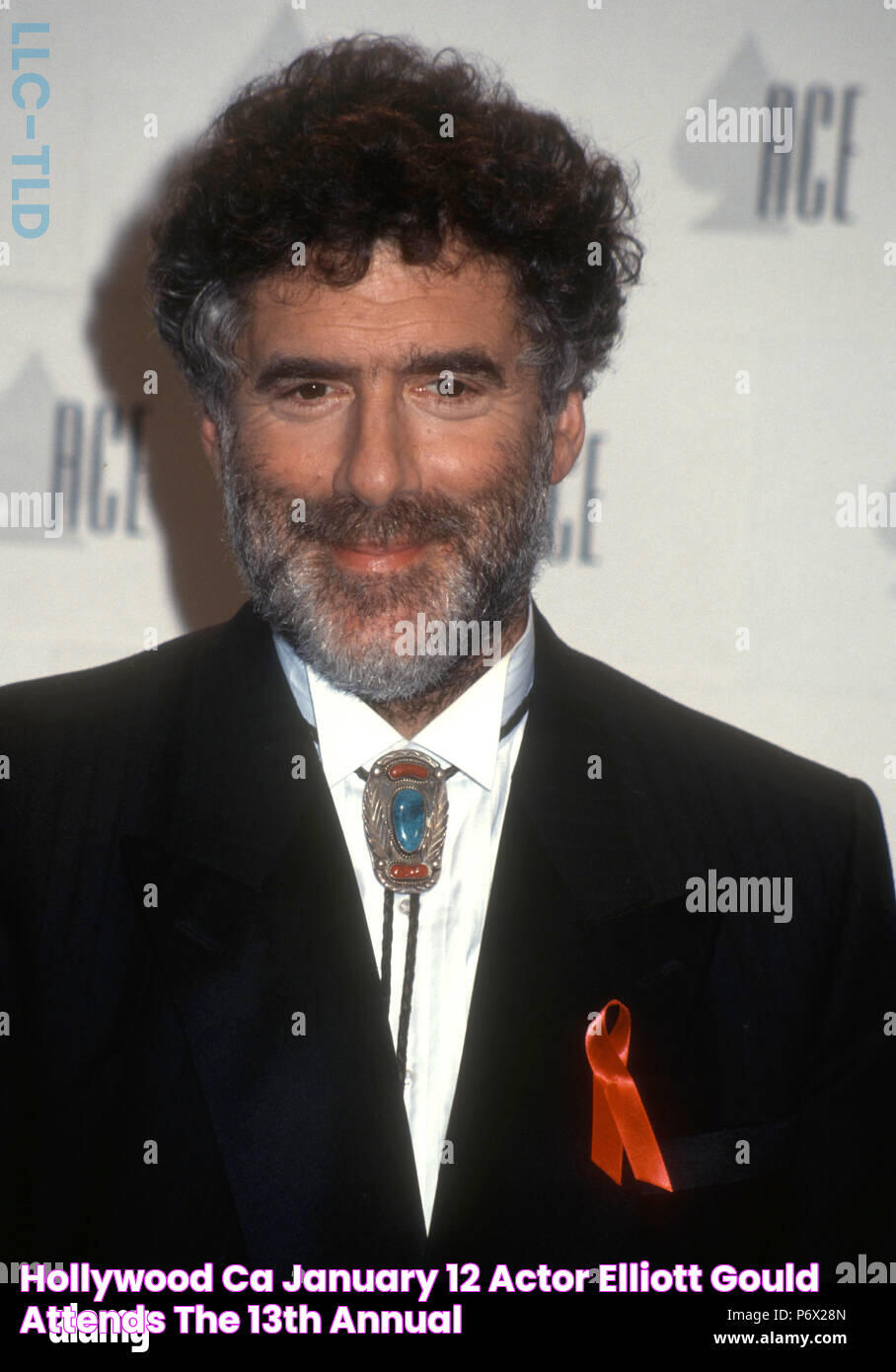 HOLLYWOOD, CA JANUARY 12 Actor Elliott Gould attends the 13th Annual