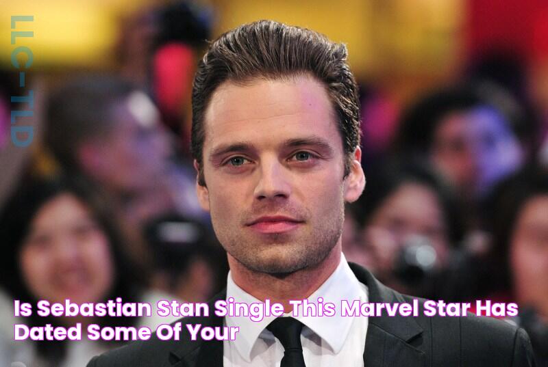 Is Sebastian Stan Single? This Marvel Star Has Dated Some Of Your