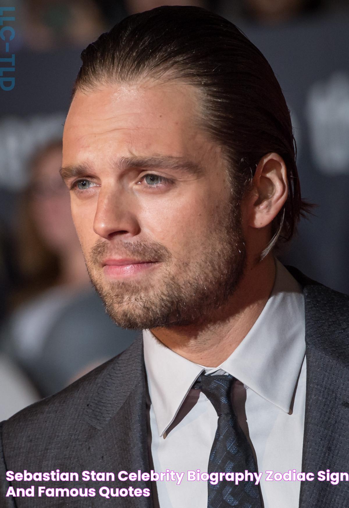 Sebastian Stan Celebrity biography, zodiac sign and famous quotes