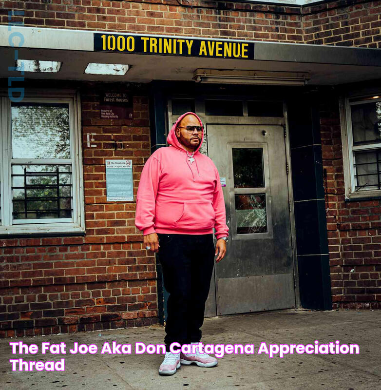 The Fat Joe aka Don Cartagena Appreciation Thread