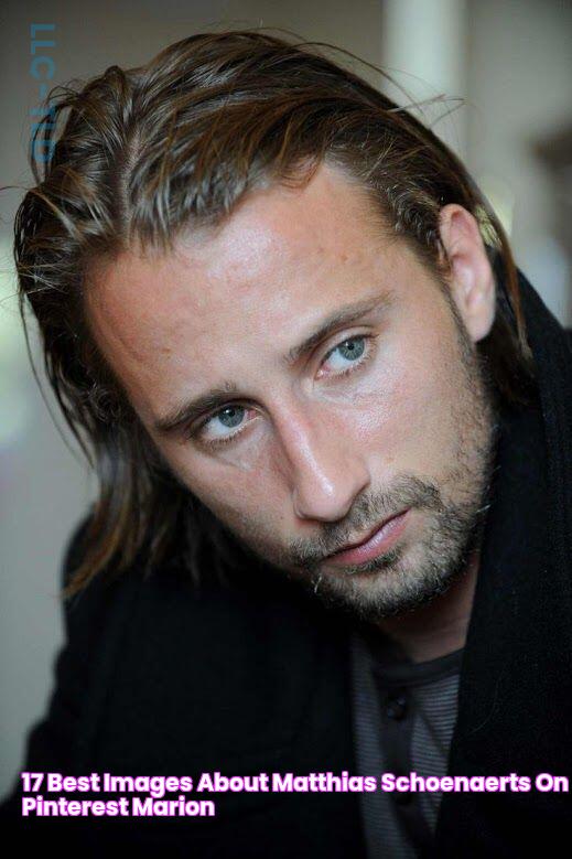 17 Best images about Matthias Schoenaerts on Pinterest Marion