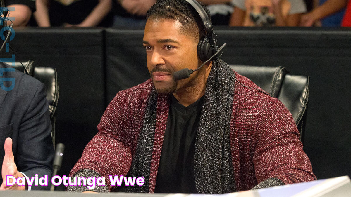 David Otunga WWE