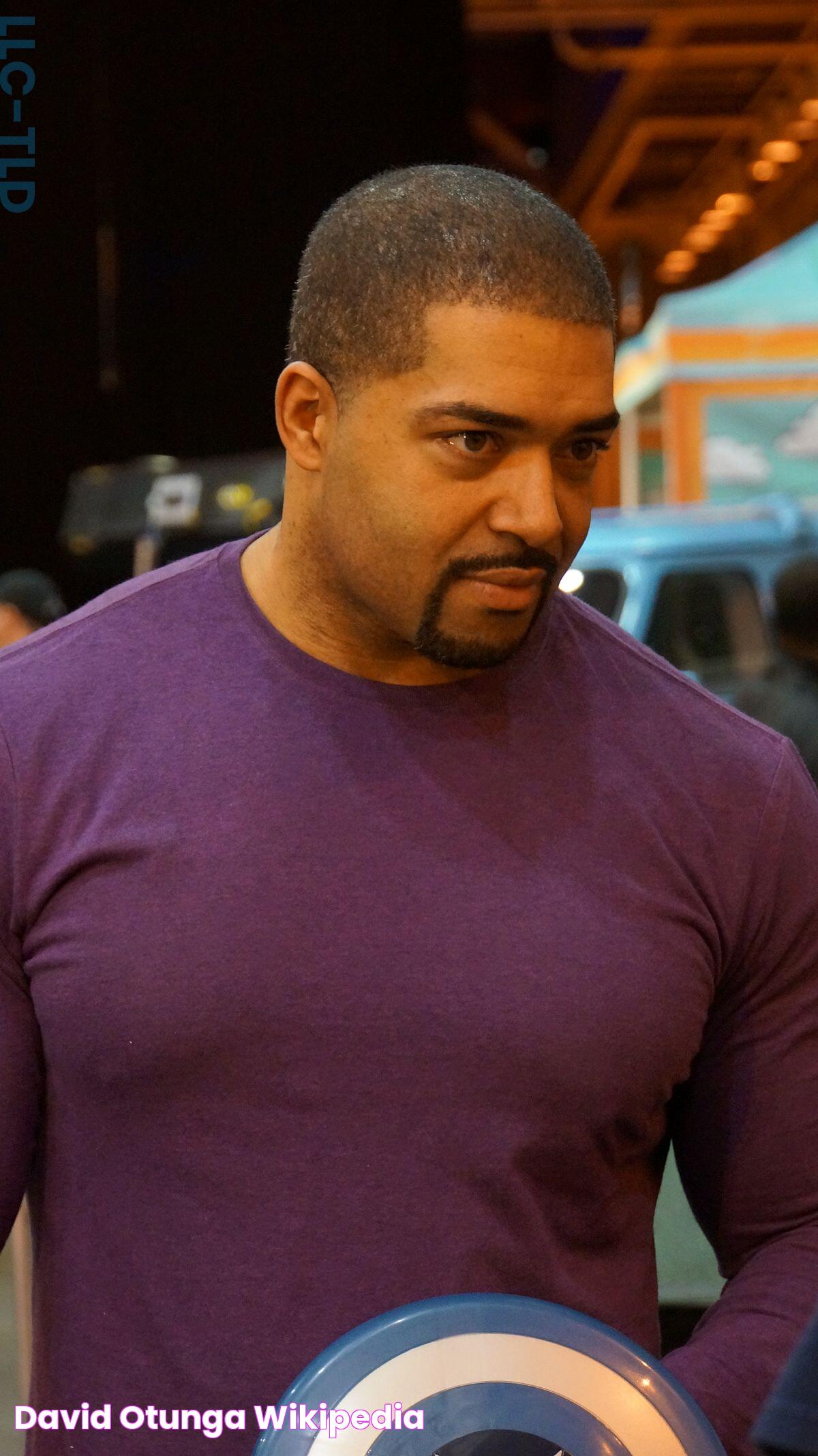 David Otunga Wikipedia