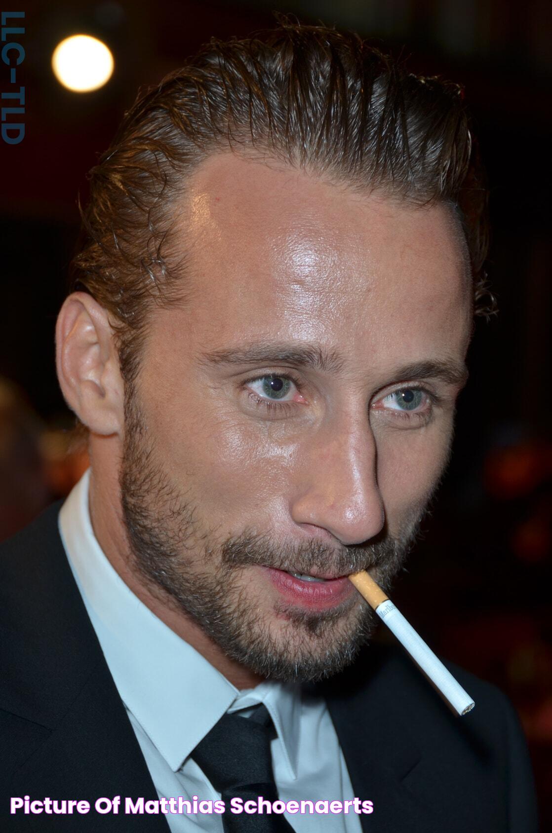 Picture of Matthias Schoenaerts