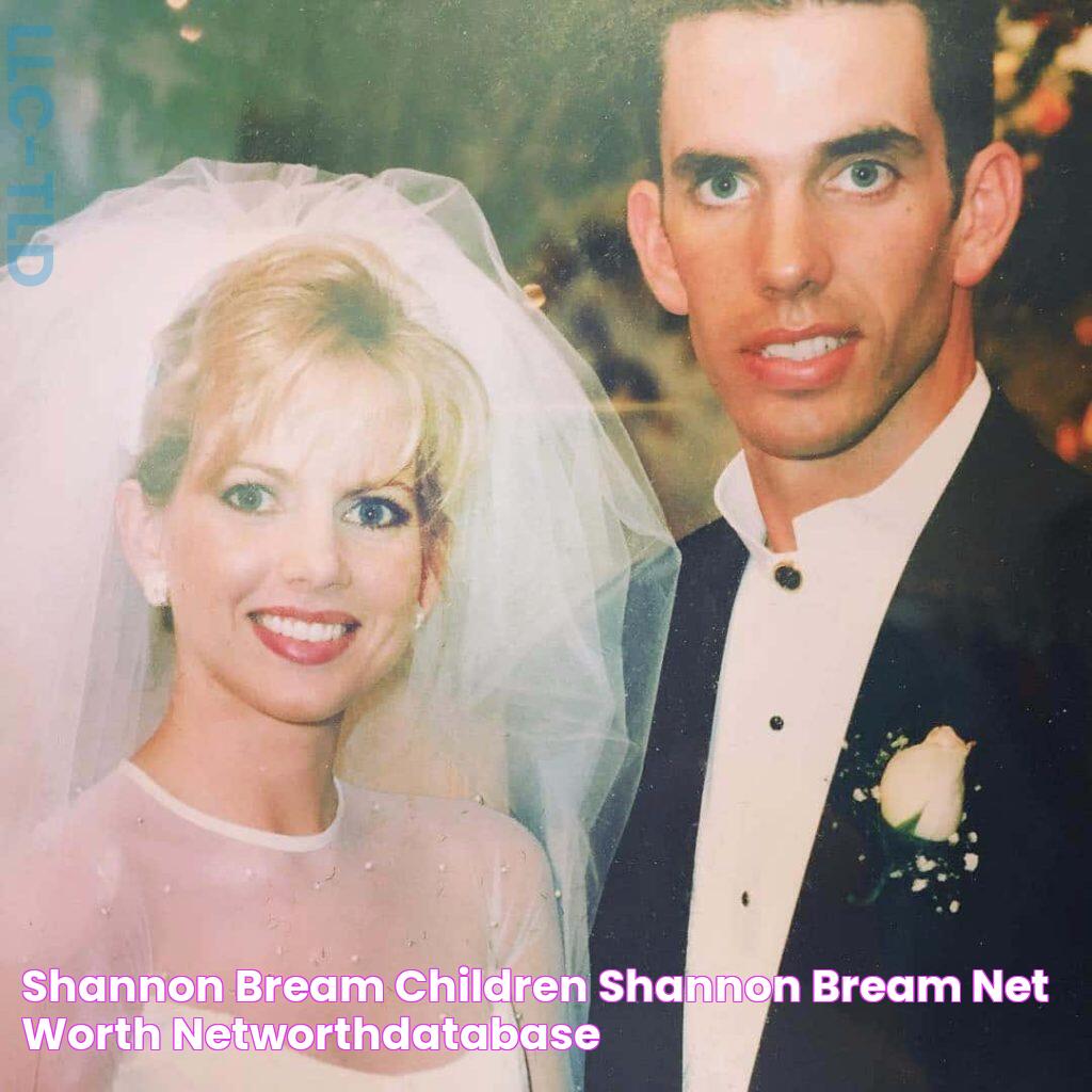 Shannon Bream Children Shannon Bream Net Worth NetWorthDatabase