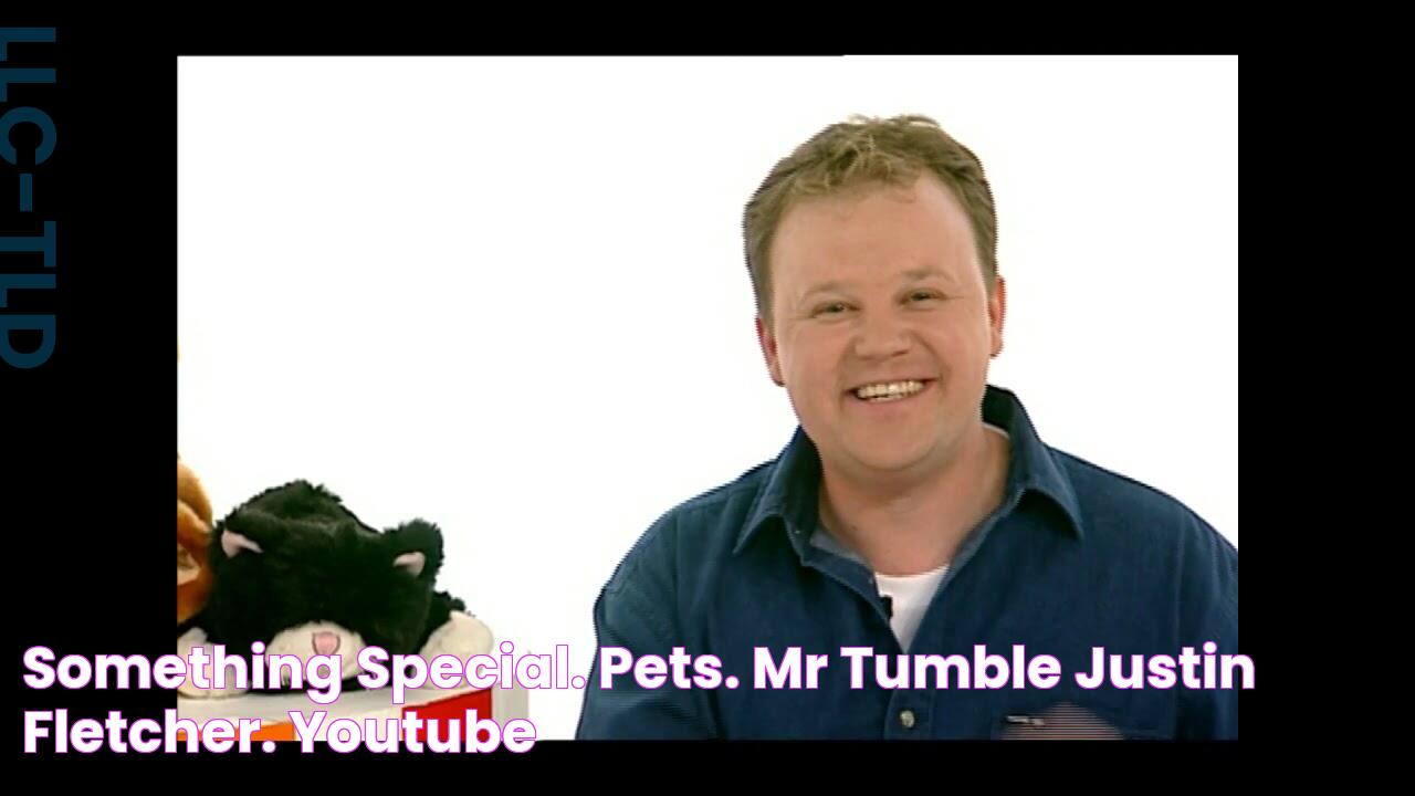 Something Special. Pets. Mr Tumble, Justin Fletcher. YouTube