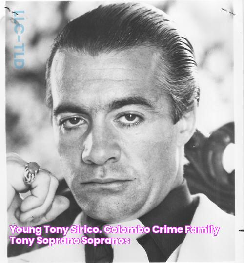 Young Tony Sirico. Colombo crime family, Tony soprano, Sopranos