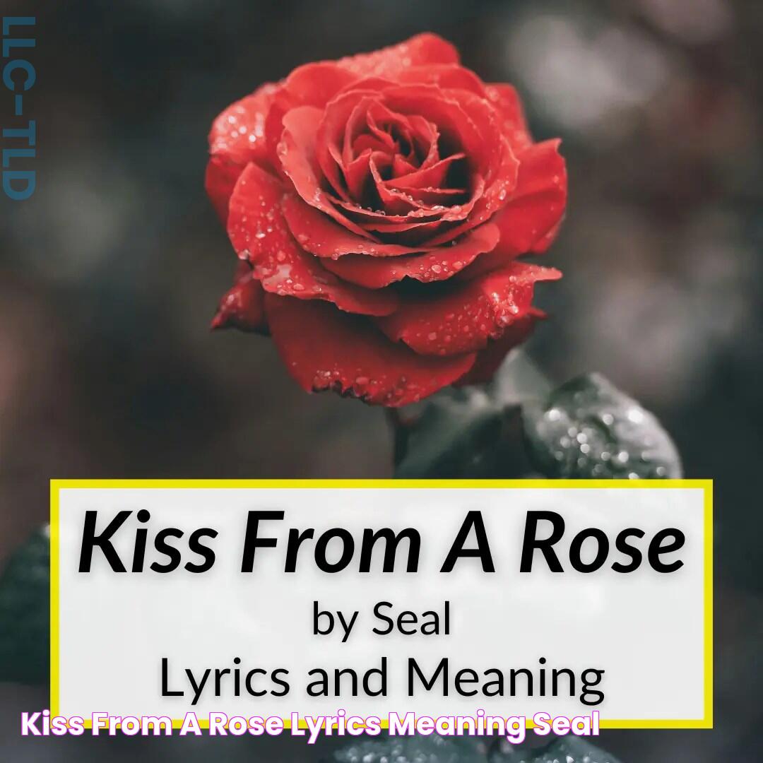 "Kiss From A Rose" Lyrics & Meaning (Seal)