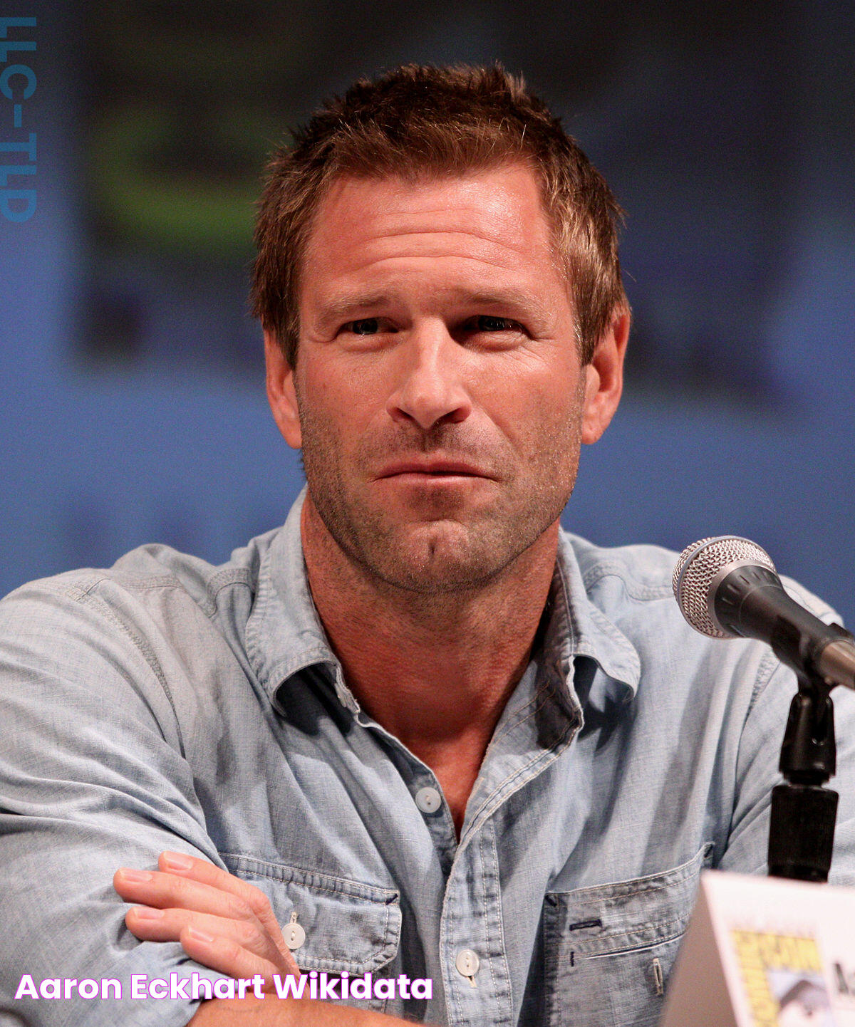 Aaron Eckhart Wikidata