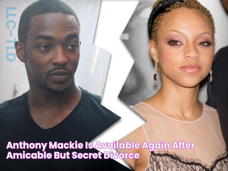 Anthony Mackie is Available Again After Amicable, but Secret Divorce