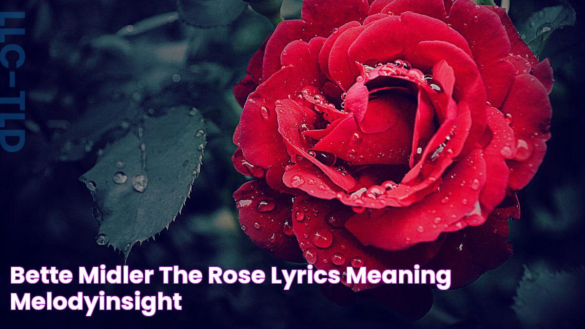 Bette Midler “The Rose” Lyrics Meaning MelodyInsight