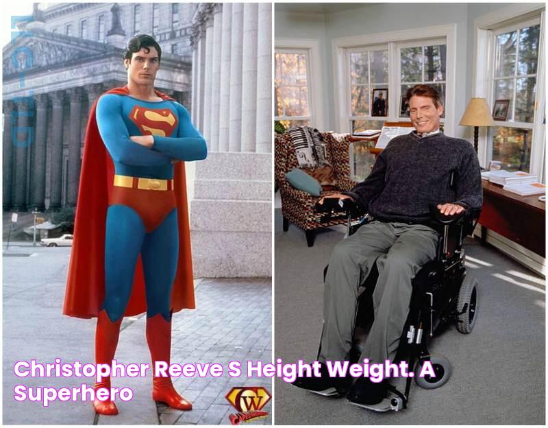 Christopher Reeve's height, weight. a superhero!