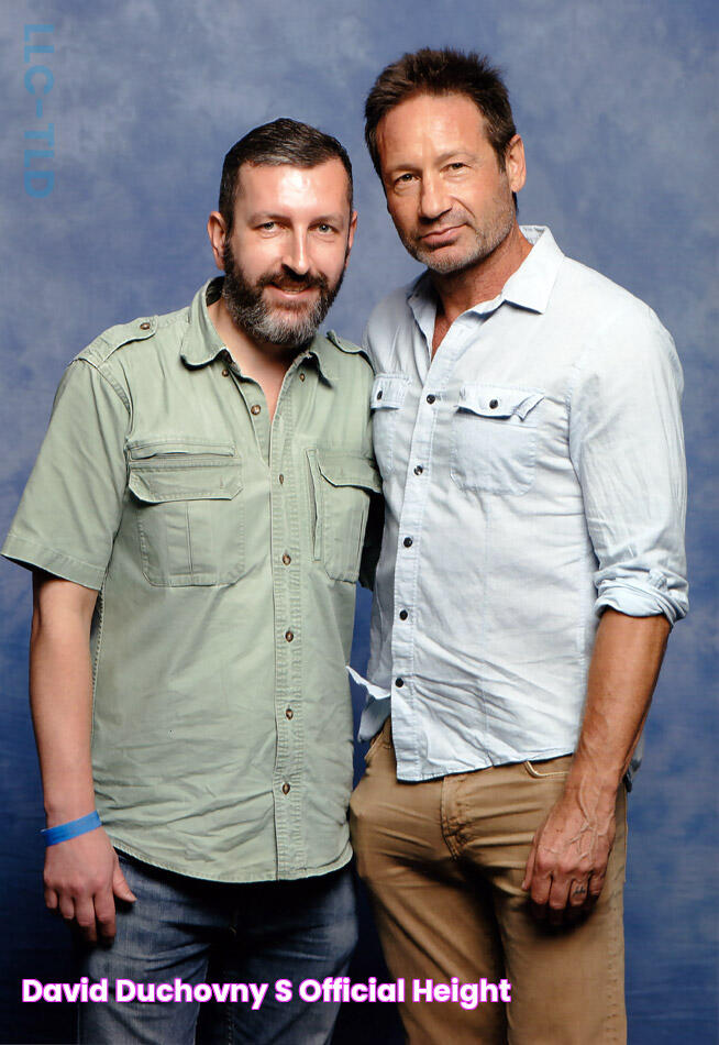 David Duchovny's Official Height