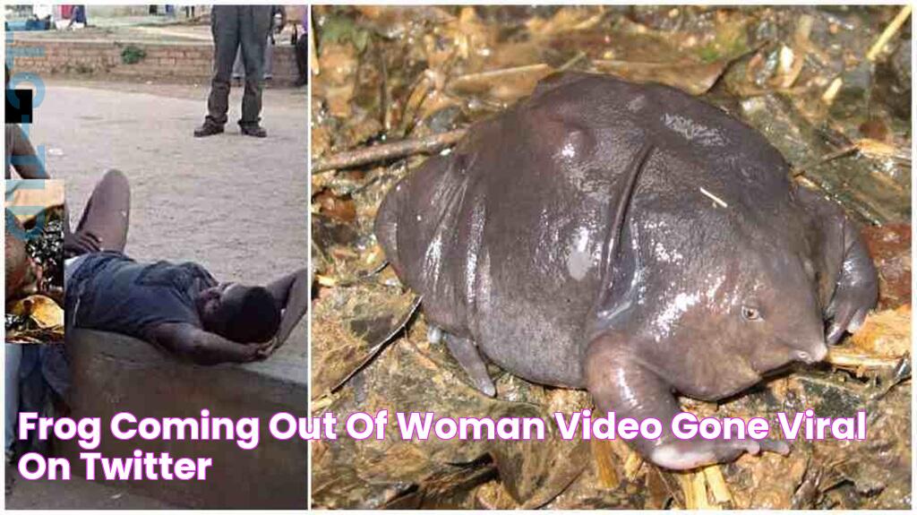 Frog Coming Out Of Woman Video Gone Viral On Twitter