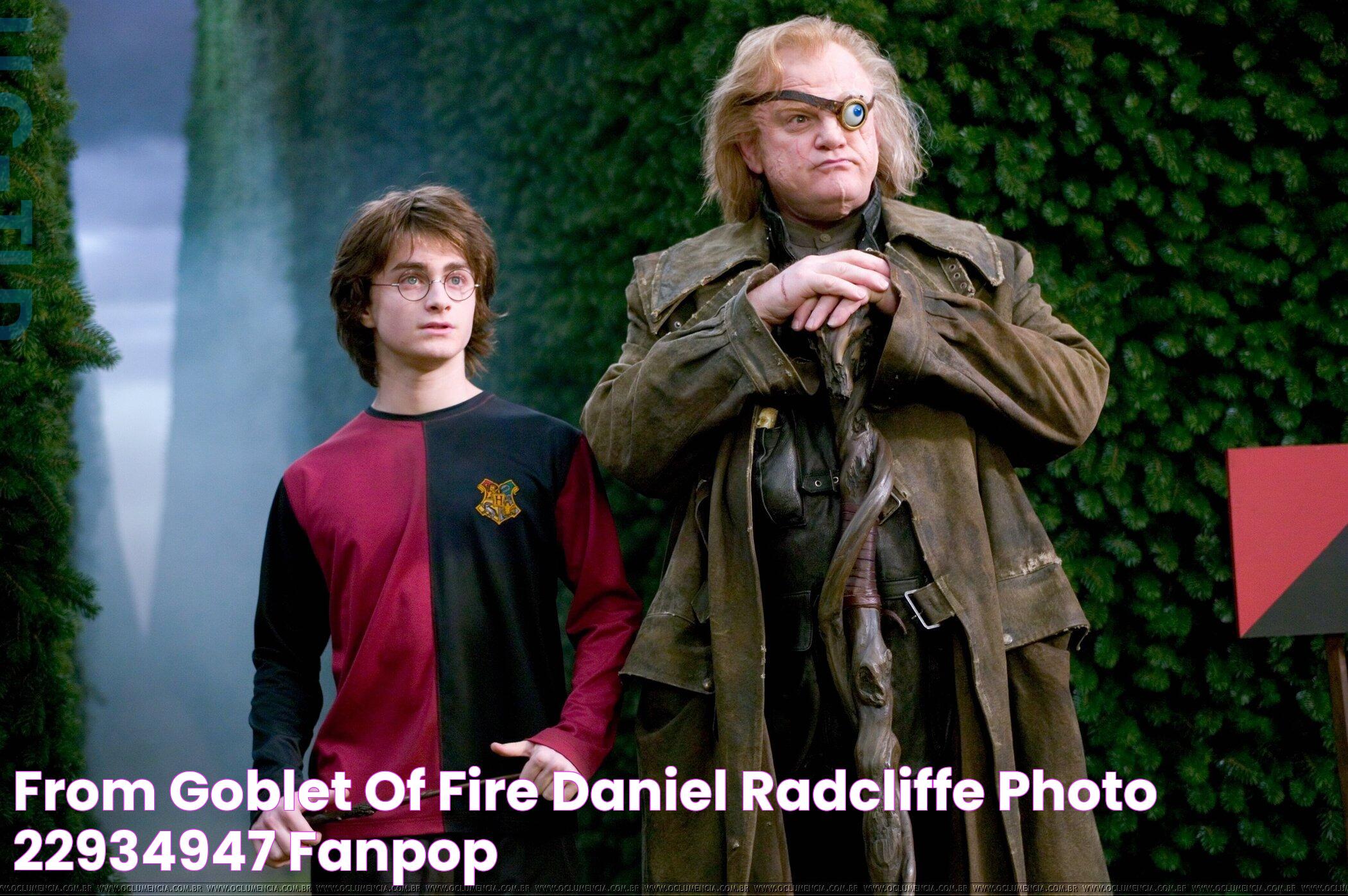 From Goblet of Fire Daniel Radcliffe Photo (22934947) Fanpop