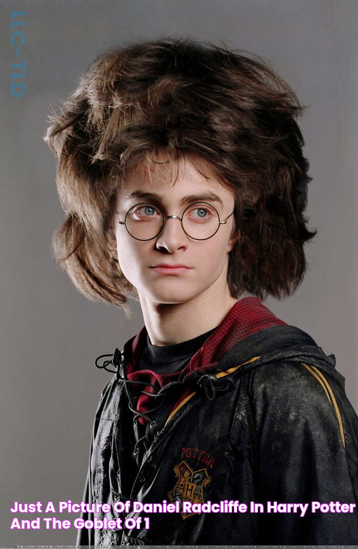 Just a picture of Daniel Radcliffe in Harry Potter and the goblet of