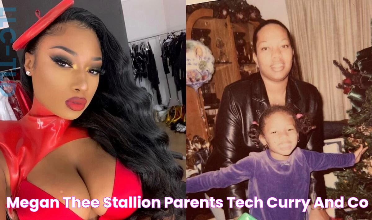 Megan Thee Stallion Parents Tech Curry And Co