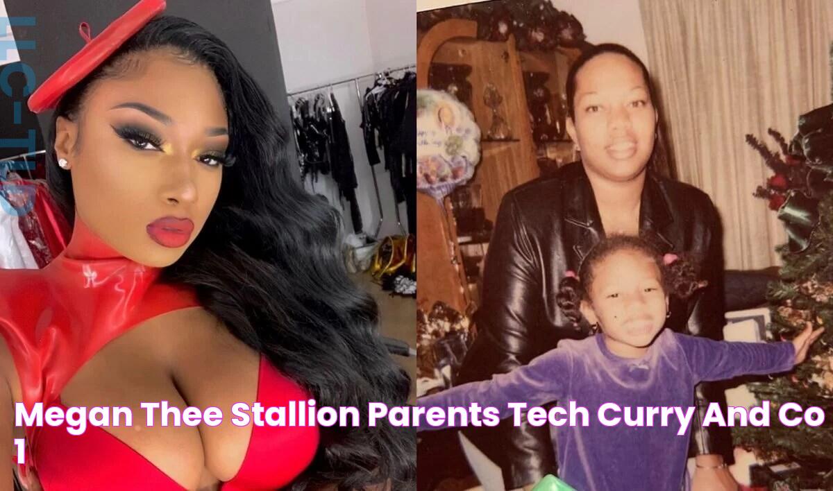 Megan Thee Stallion Parents Tech Curry And Co