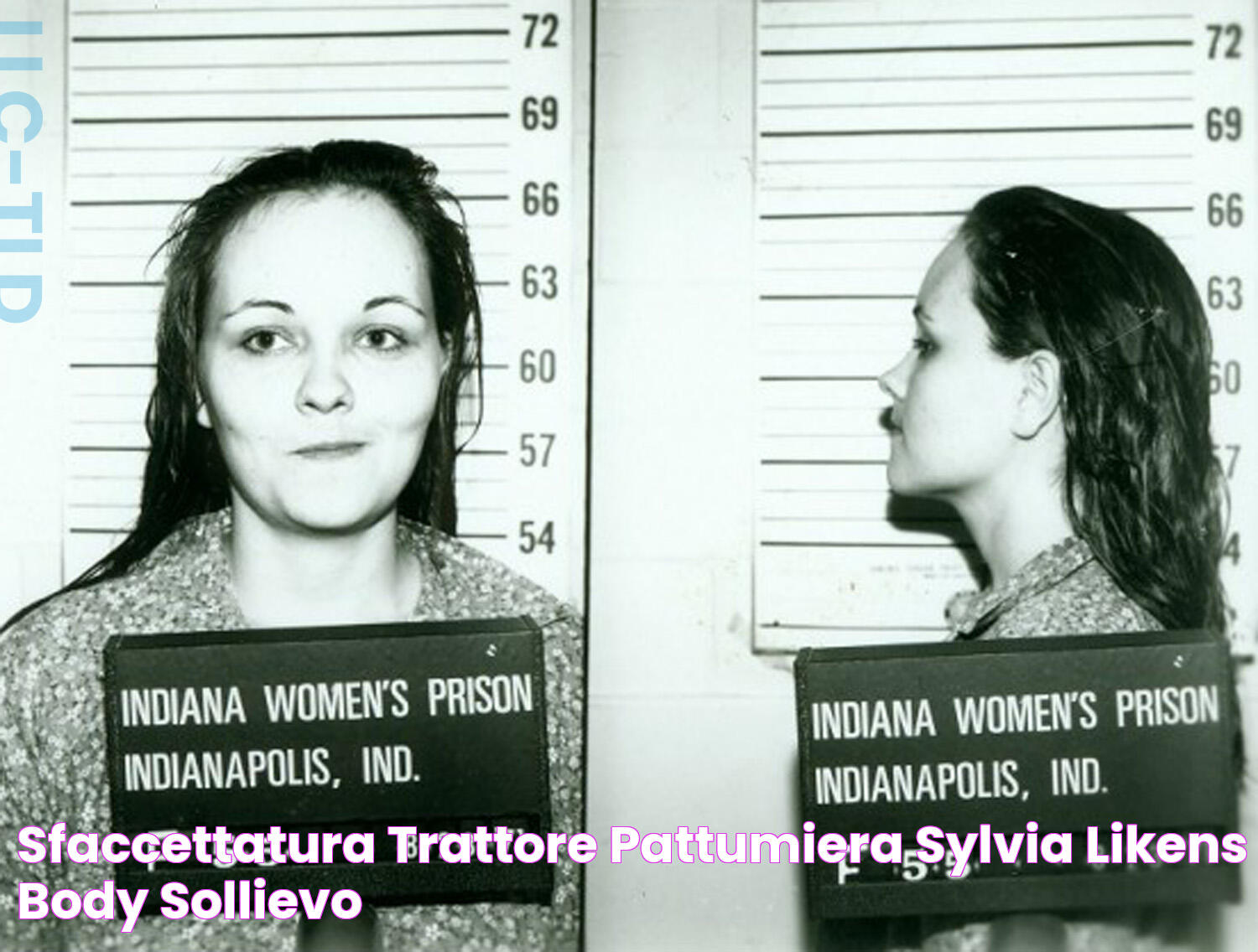 Sfaccettatura Trattore Pattumiera sylvia likens body sollievo