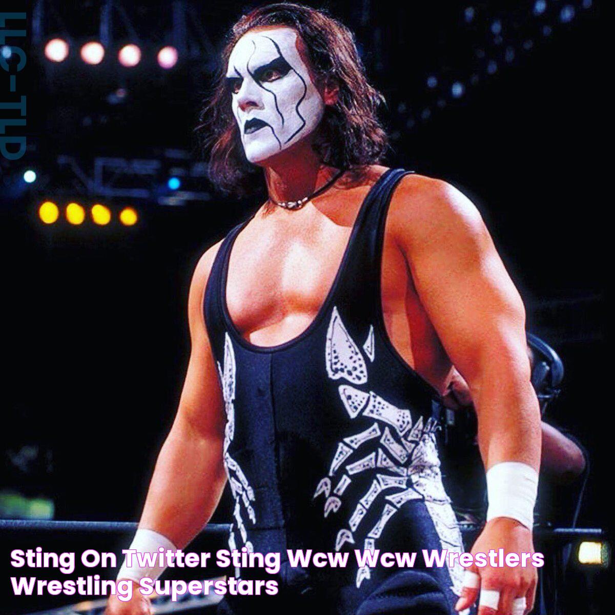 Sting on Twitter Sting wcw, Wcw wrestlers, Wrestling superstars