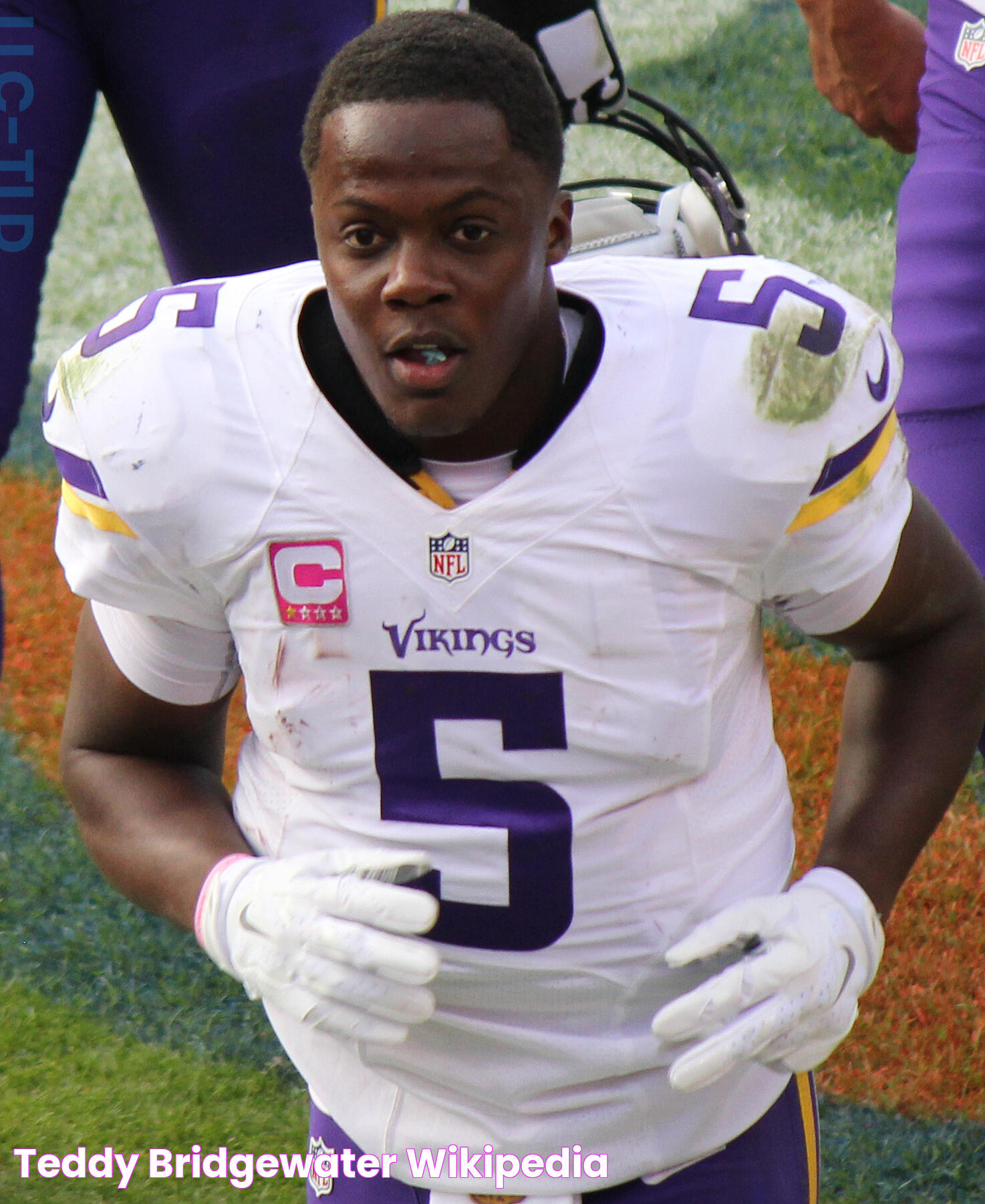 Teddy Bridgewater Wikipedia