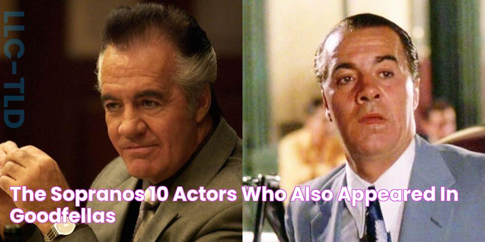 The Sopranos 10 Actors Who Also Appeared In Goodfellas