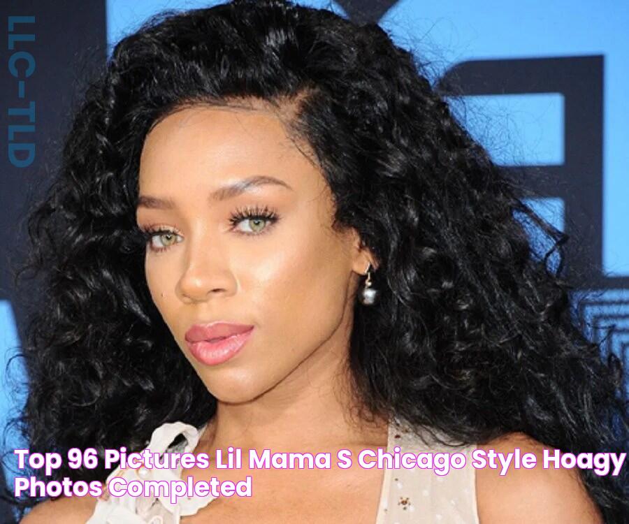 Top 96+ Pictures Lil Mama's Chicago Style Hoagy Photos Completed