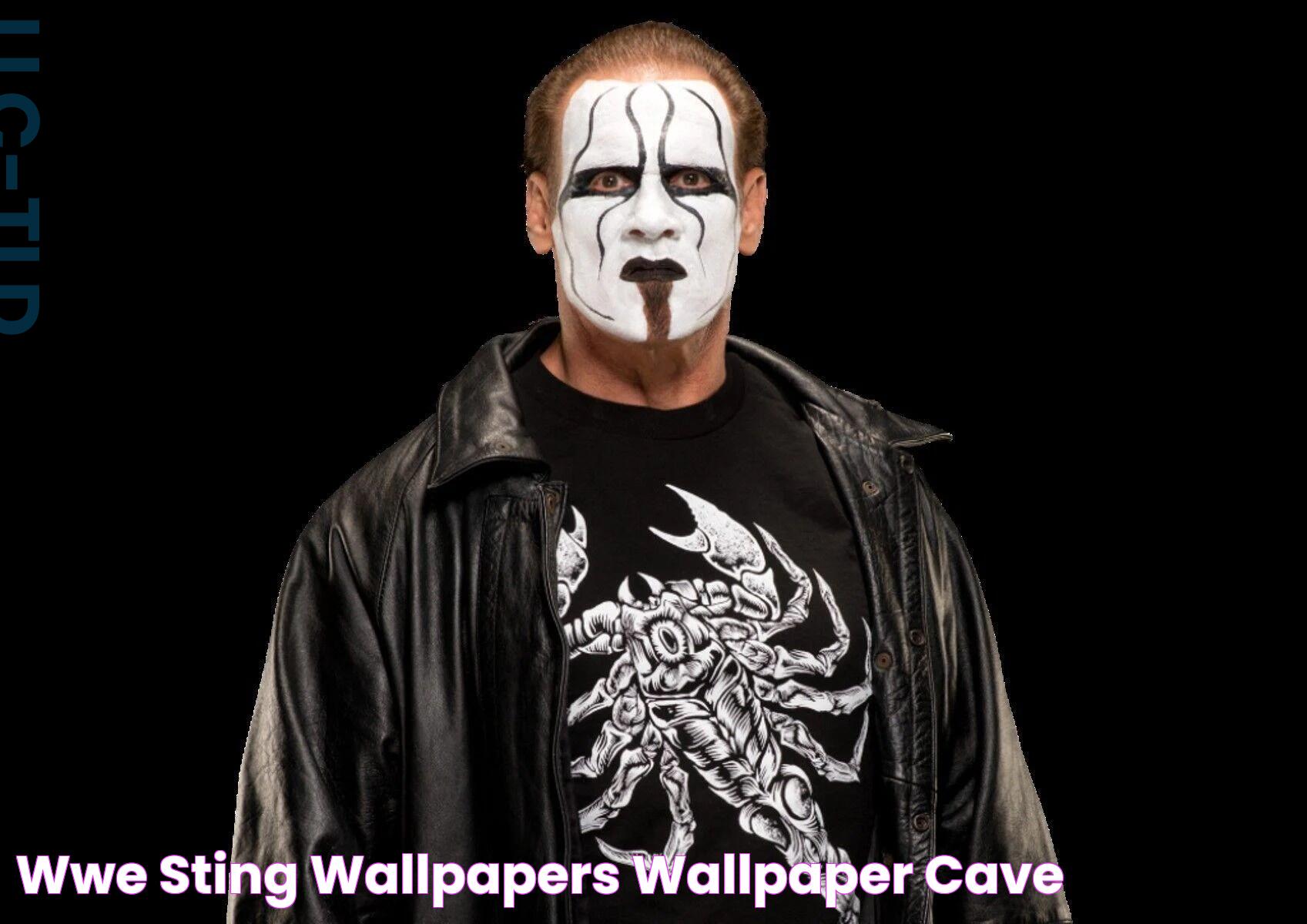 WWE Sting Wallpapers Wallpaper Cave