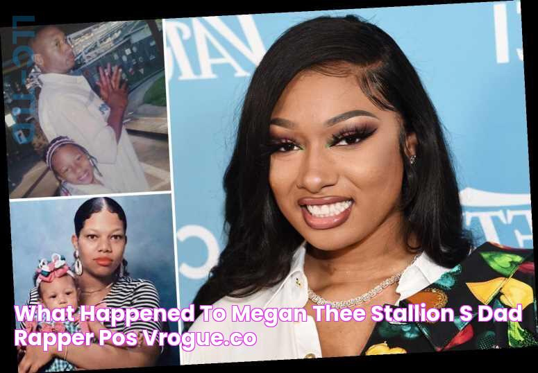 What Happened To Megan Thee Stallion S Dad Rapper Pos vrogue.co