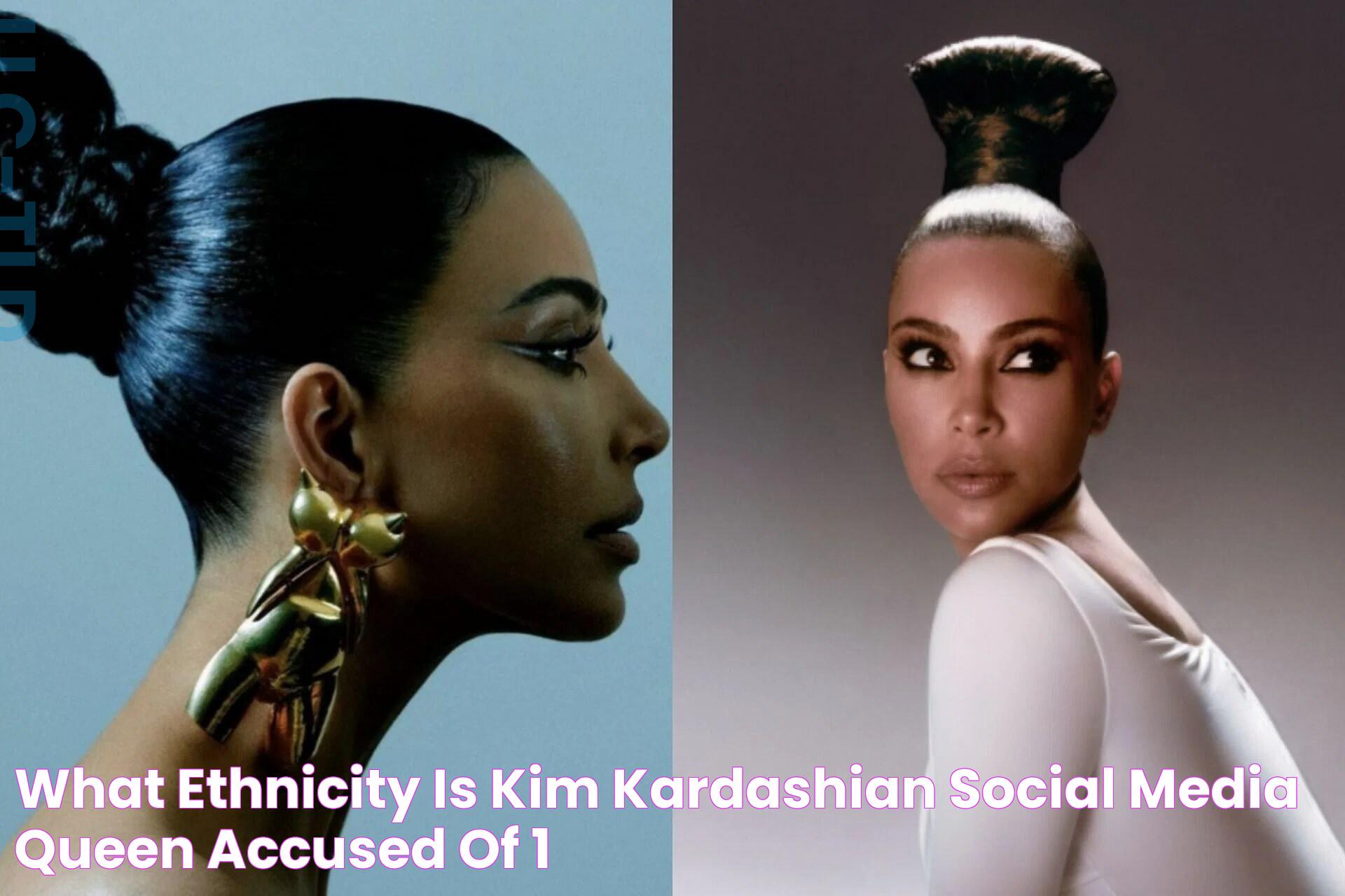 What ethnicity is Kim Kardashian? Social media queen accused of