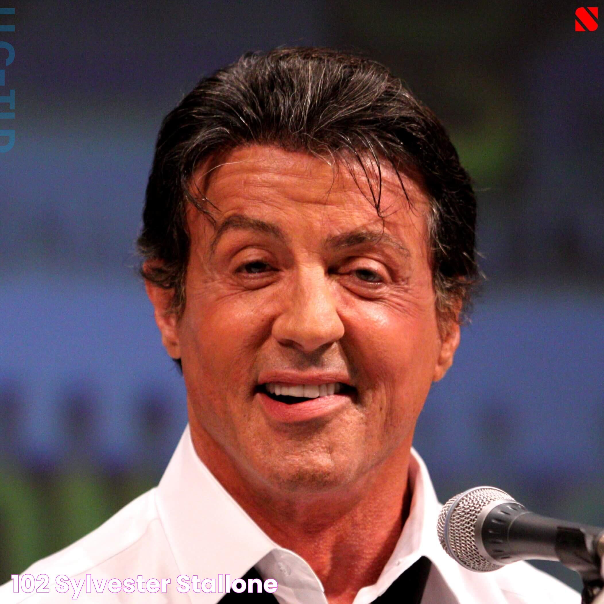 อัลบั้ม 102+ ภาพ Sylvester Stallone ภาพยนตร์ สวยมาก