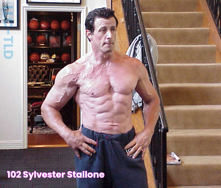 อัลบั้ม 102+ ภาพ Sylvester Stallone ภาพยนตร์ สวยมาก