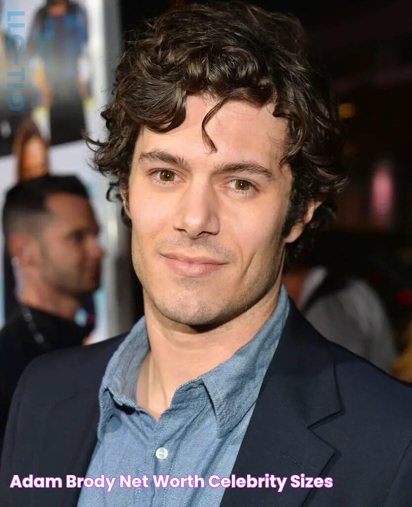 Adam Brody Net Worth Celebrity Sizes