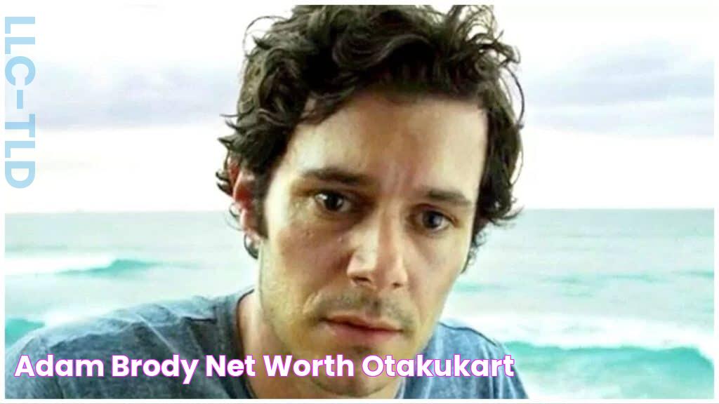 Adam Brody Net Worth OtakuKart