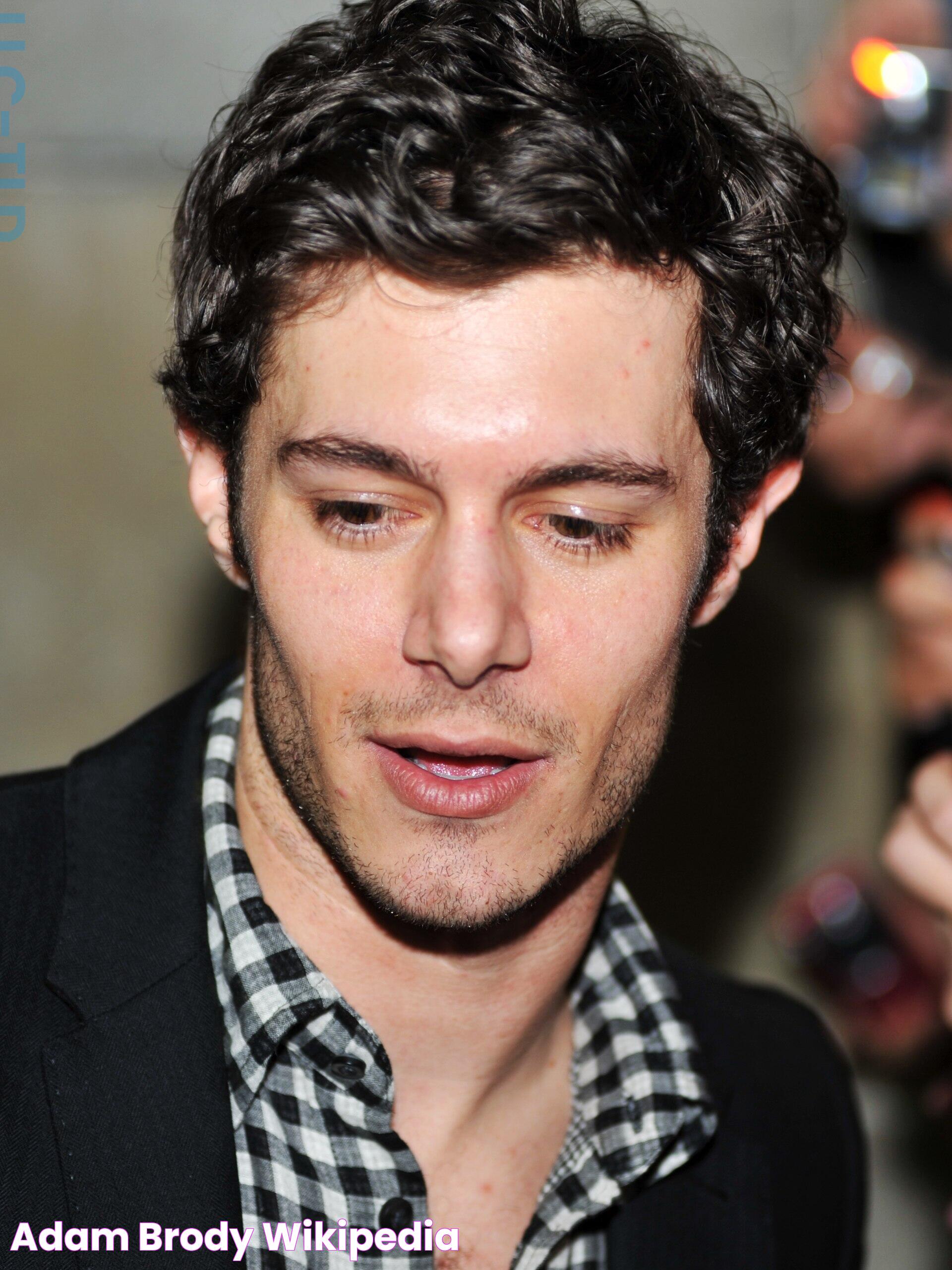 Adam Brody Wikipedia