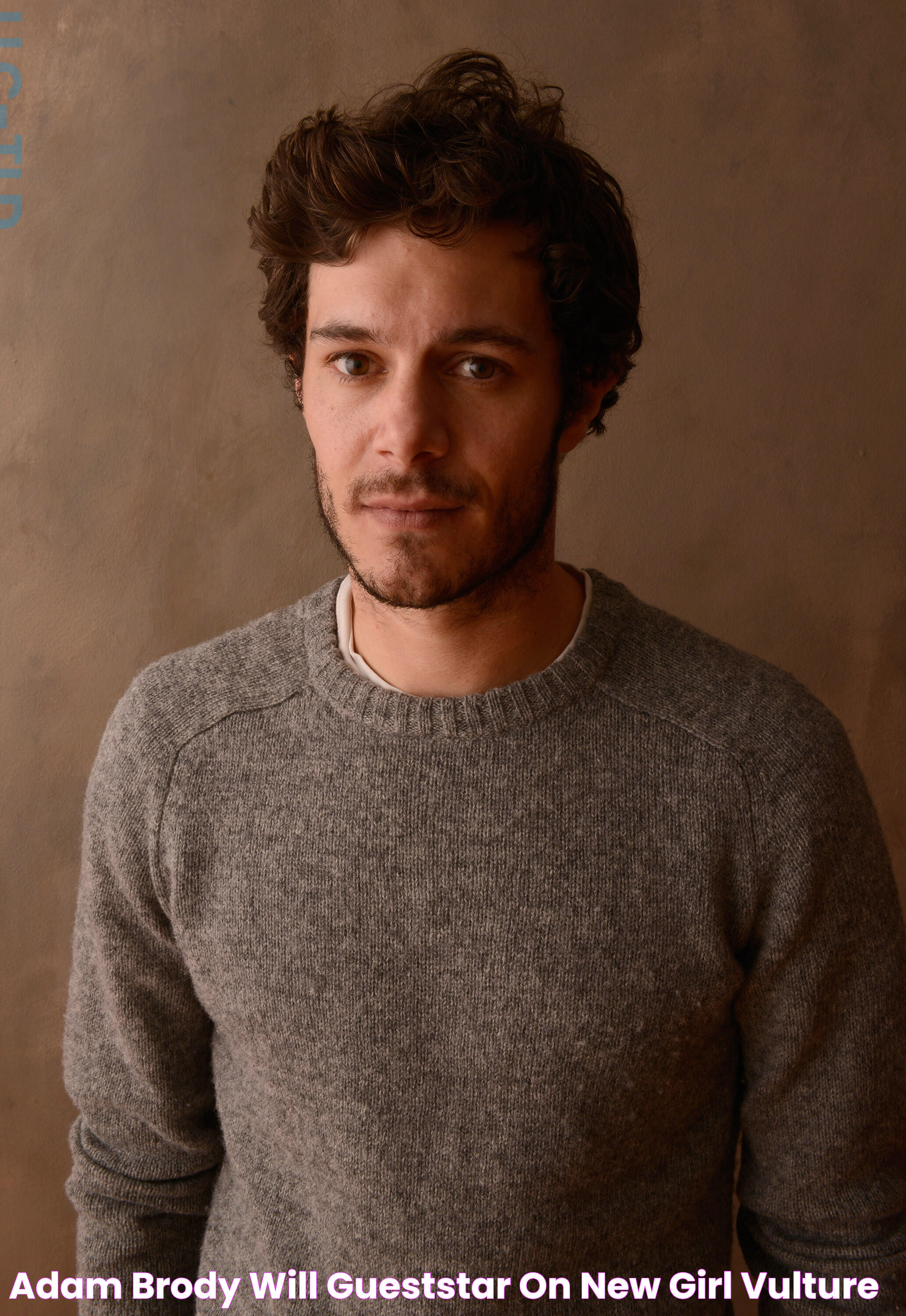 Adam Brody Will GuestStar on New Girl Vulture